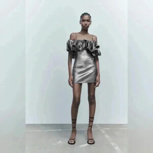 NWOT ZARA SHORT FULL DRESS XS *statement  dress